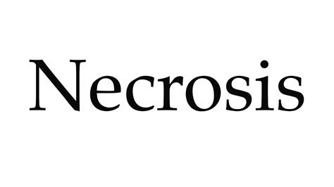 necrosis pronounce